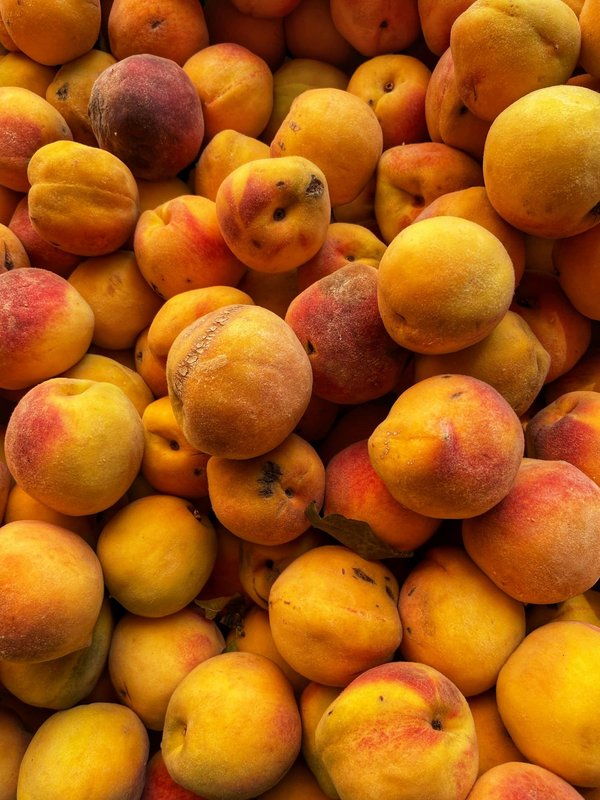 Comment découvrir les traditions de la pêche en Irlande sans frais supplémentaires ?